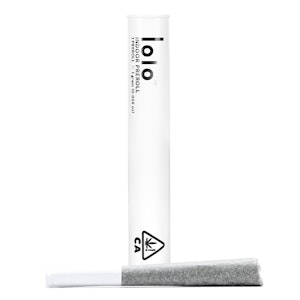 Lolo - BLUEBERRY HAZE