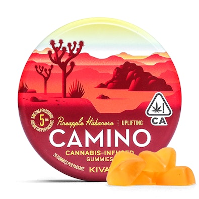 CAMINO - PINEAPPLE HABANERO